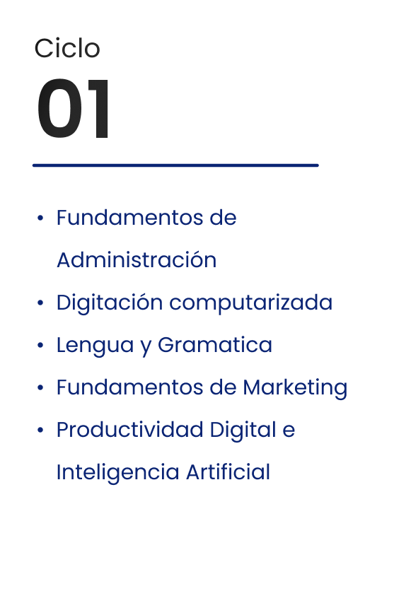 Ciclo 01