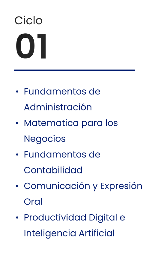 Ciclo 01