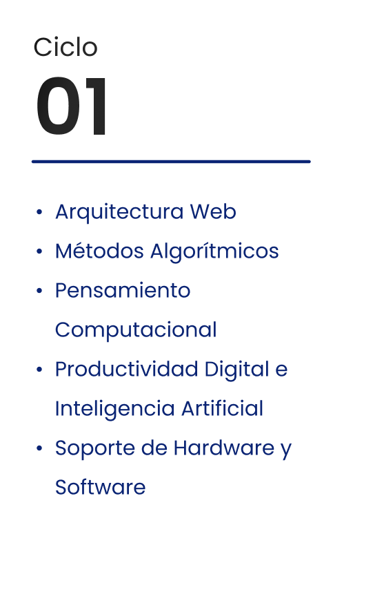 Ciclo 01