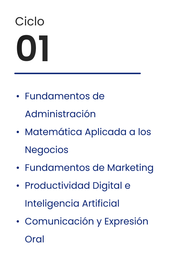 Ciclo 01