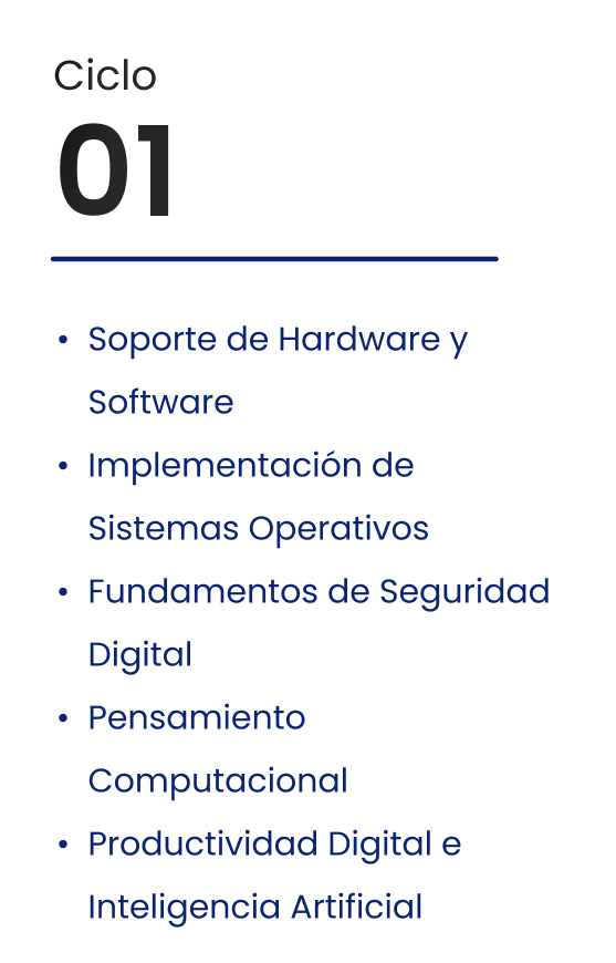 Ciclo 01