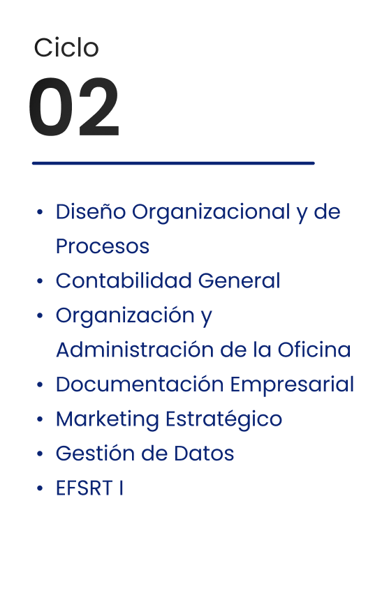 Ciclo 02