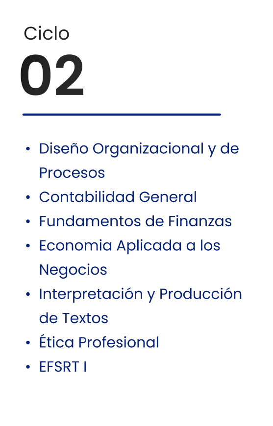 Ciclo 02