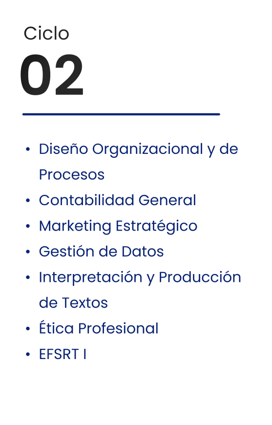 Ciclo 02