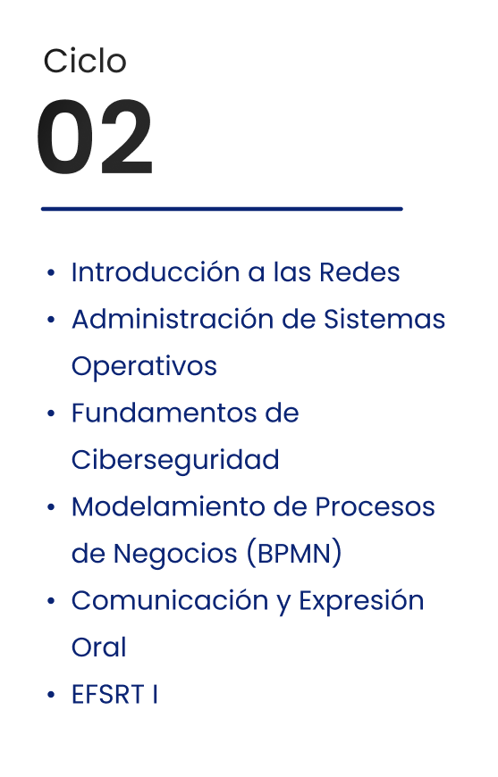 Ciclo 02