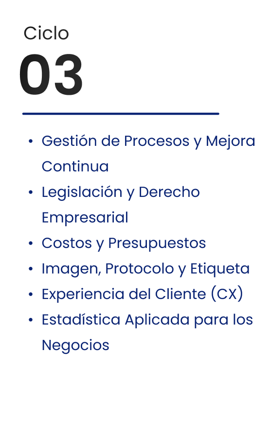 Ciclo 03