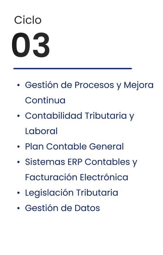 Ciclo 03