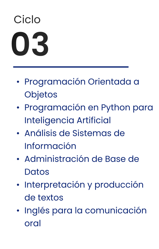 Ciclo 03