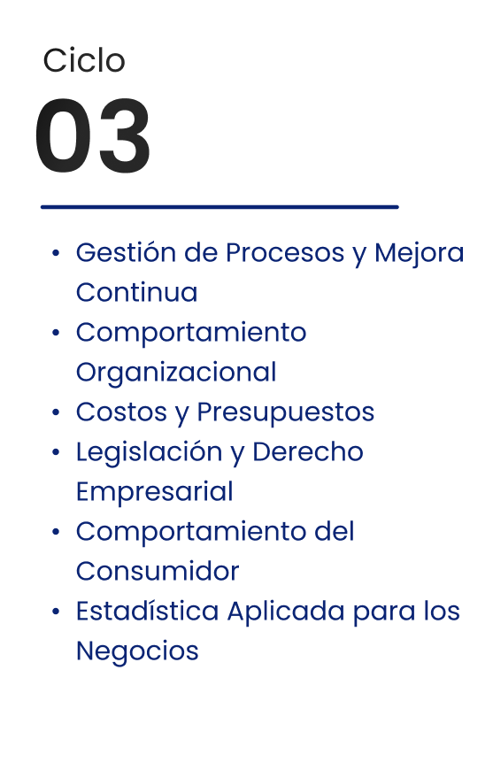 Ciclo 03