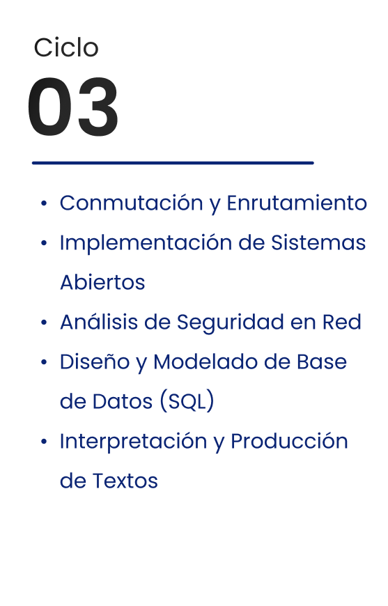 Ciclo 03