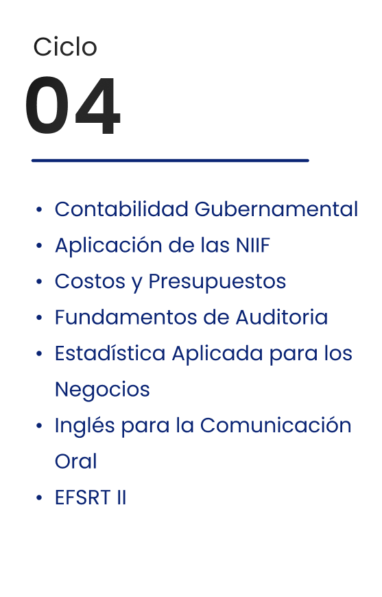 Ciclo 04
