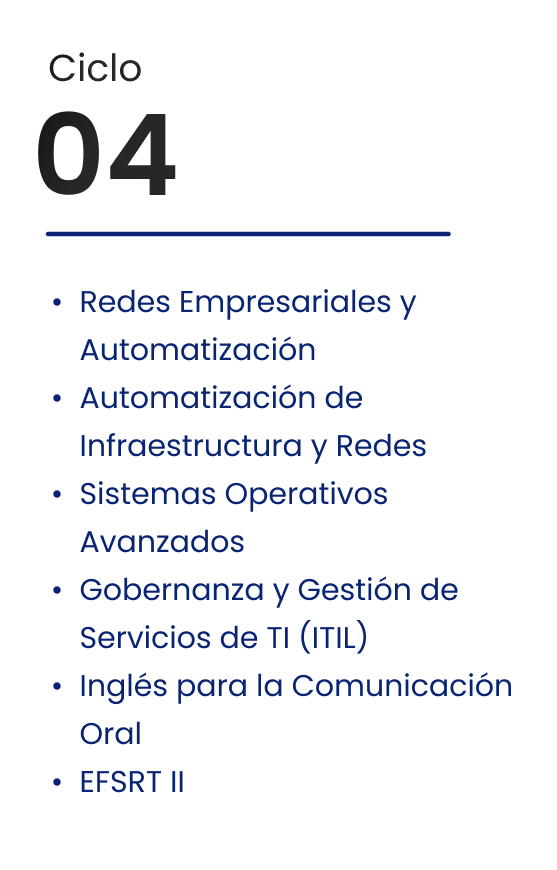 Ciclo 04