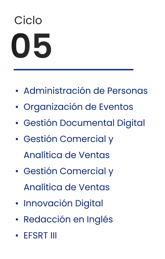 Ciclo 05