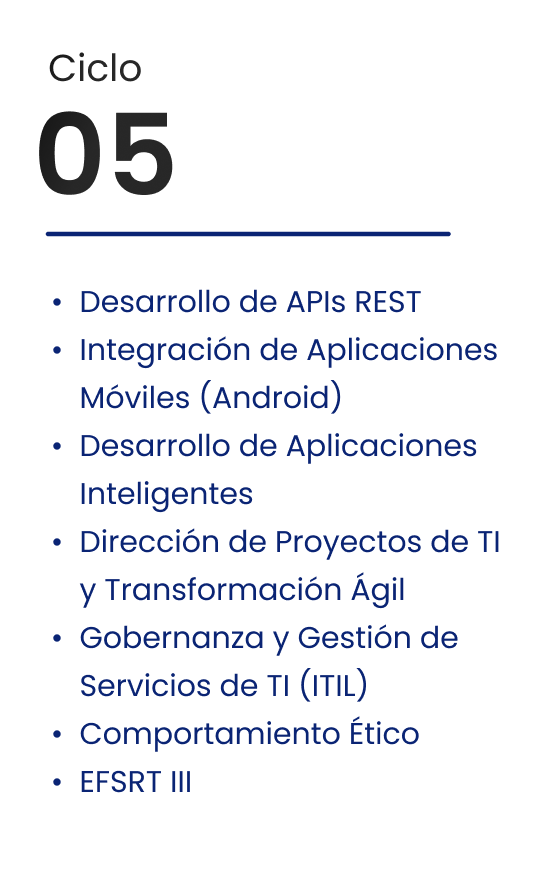 Ciclo 05