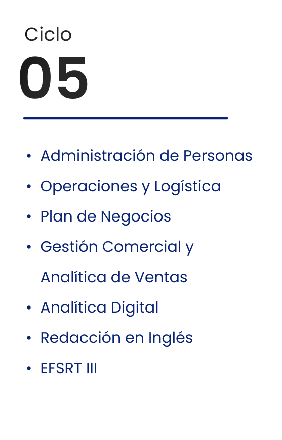 Ciclo 05