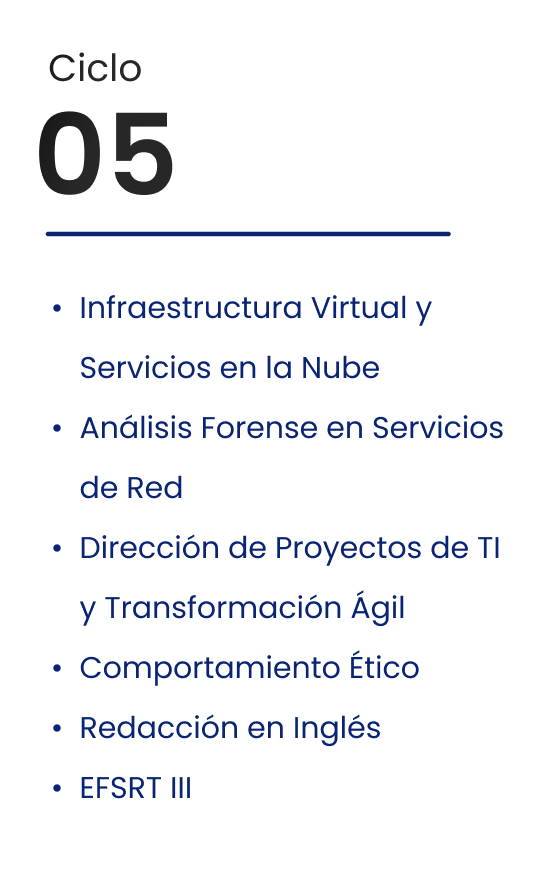 Ciclo 05
