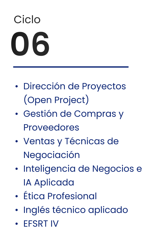 Ciclo 06