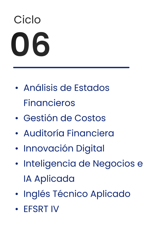 Ciclo 06