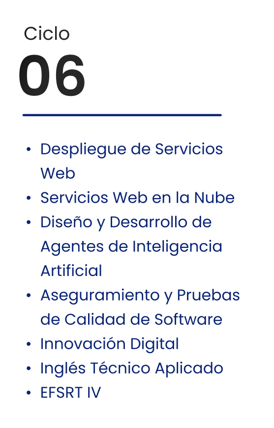 Ciclo 06
