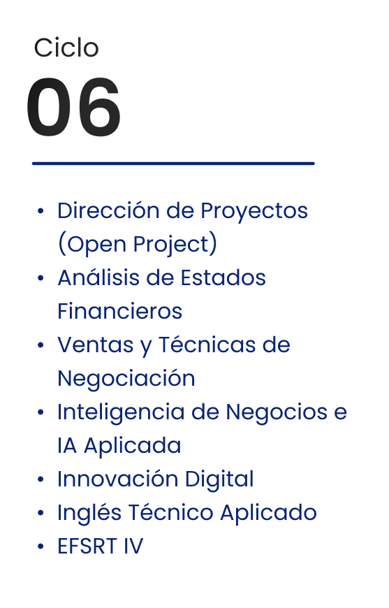 Ciclo 06