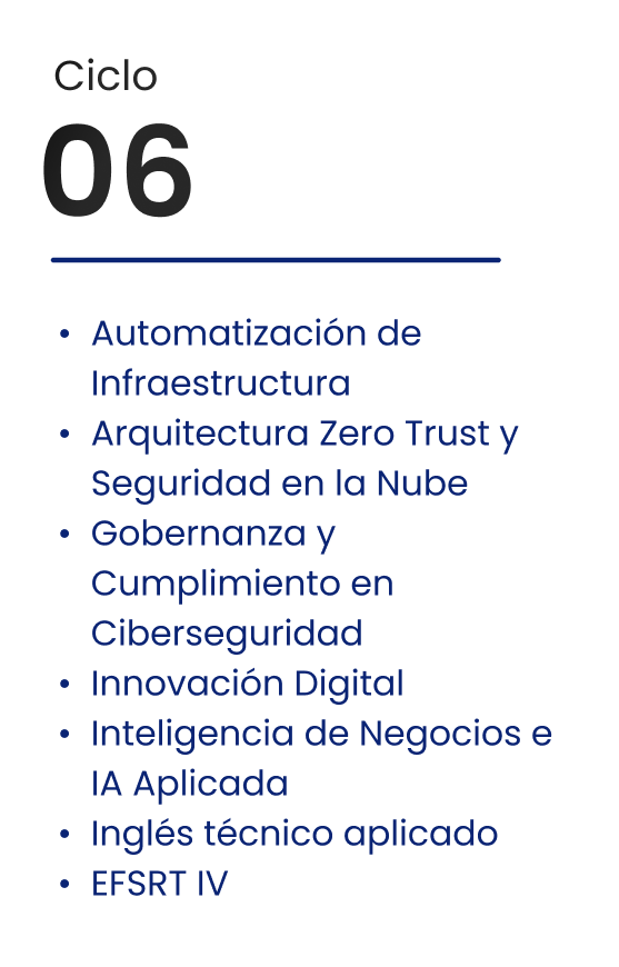 Ciclo 06