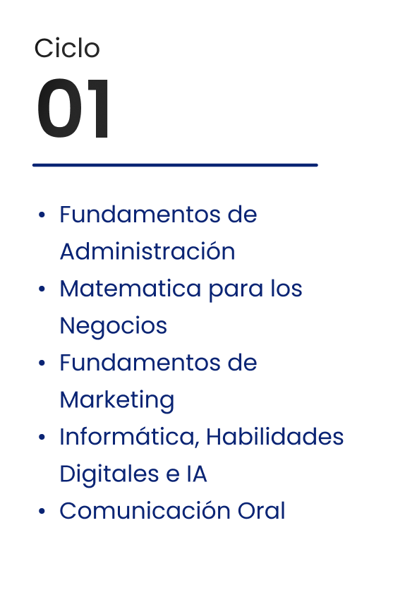 Ciclo 1