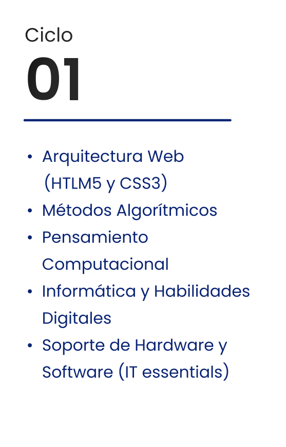 Ciclo 1