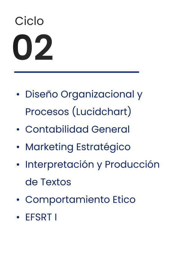 Ciclo 2