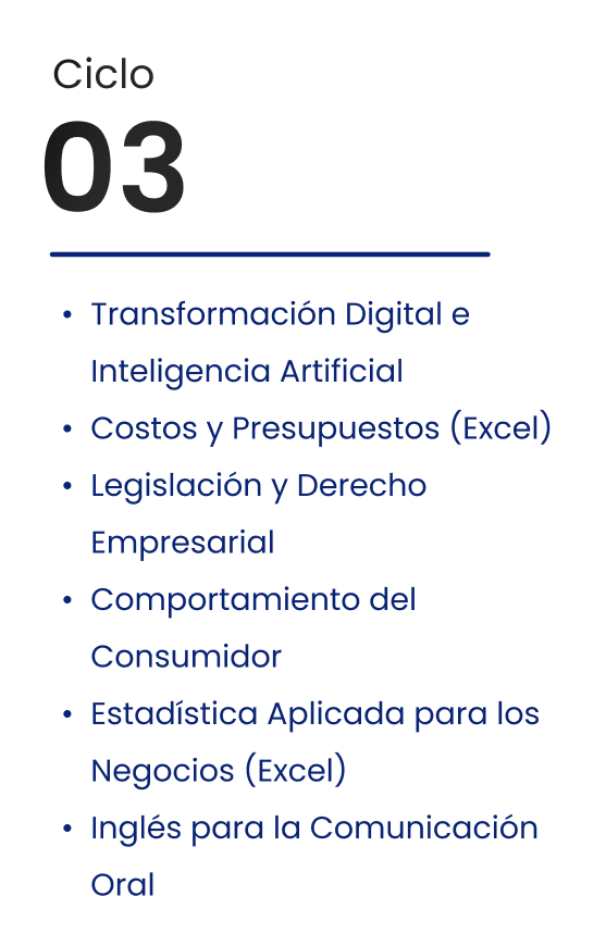 Ciclo 3