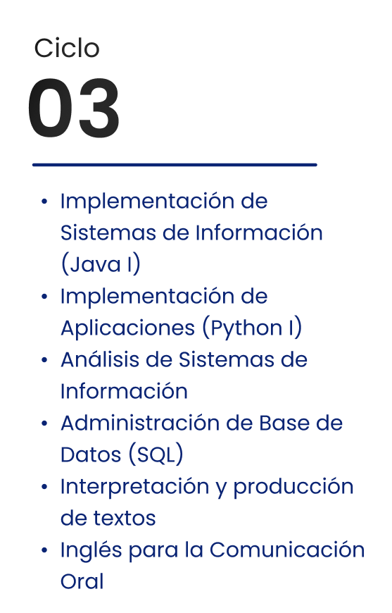 Ciclo 3