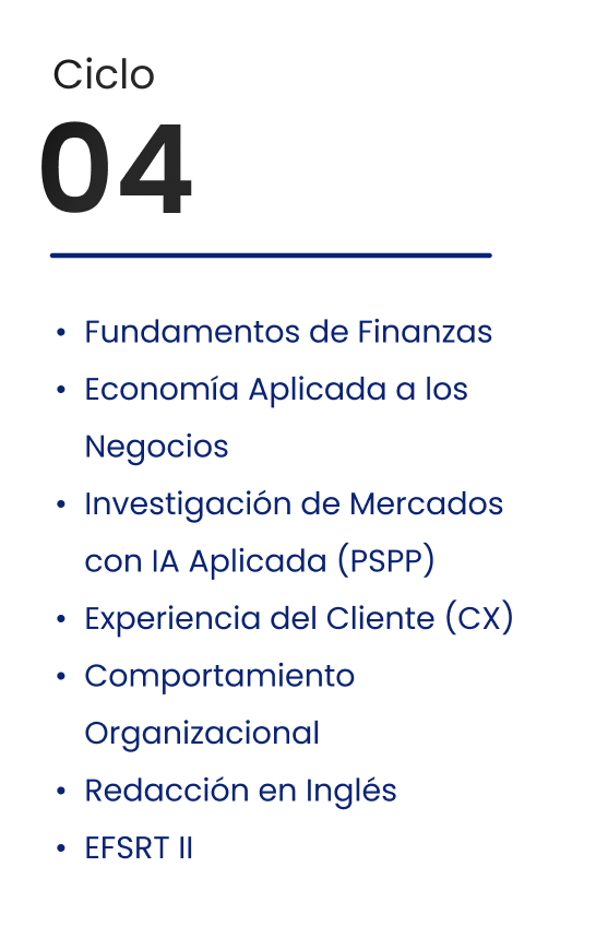 Ciclo 4