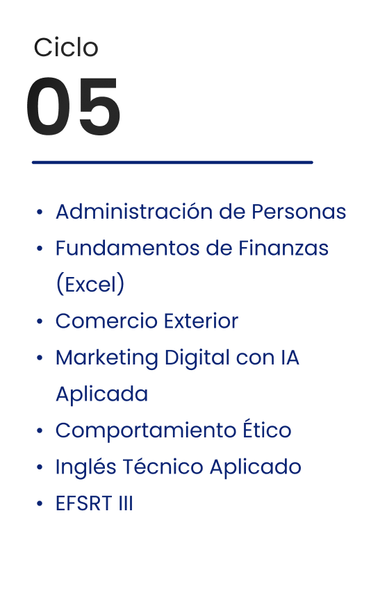 Ciclo 5