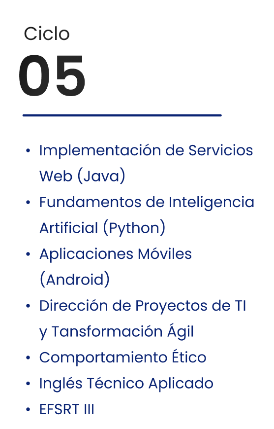 Ciclo 5