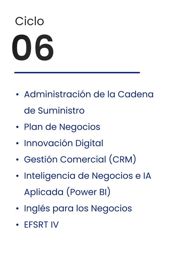 Ciclo 6