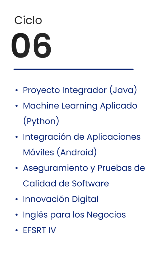 Ciclo 6